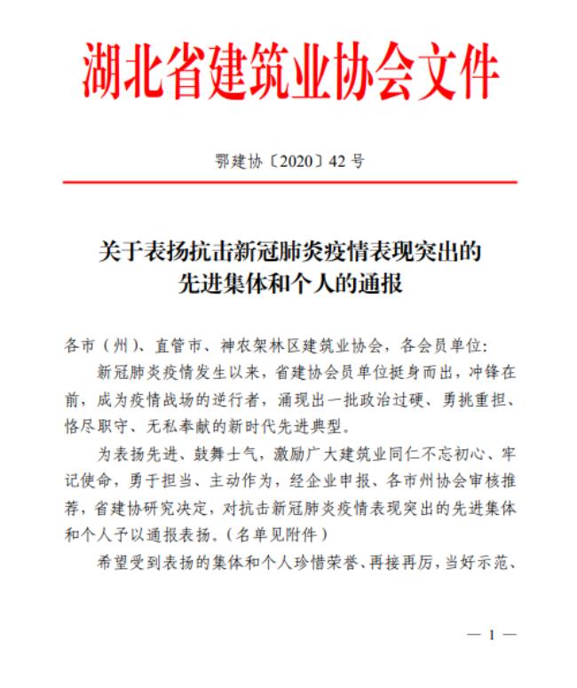 喜讯！我司荣获2020武汉民营企业100 强称号