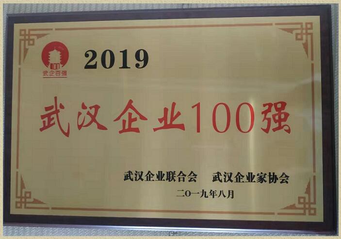 喜讯！公司荣获“2019武汉企业100强”称号